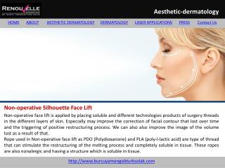 Non-operative Silhouette Face Lift