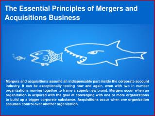 Best Merger and Acquisition Brokers