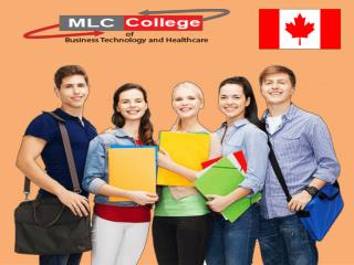 ERP SAP Training From MLC College Canada