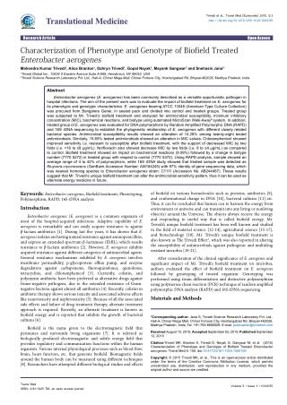 E. Aerogenes | Phenotype & Genotype Characterization