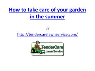 How to take care of your garden in the summer