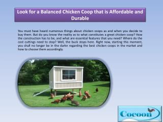 Look for a Balanced Chicken Coop that is Affordable and Durable