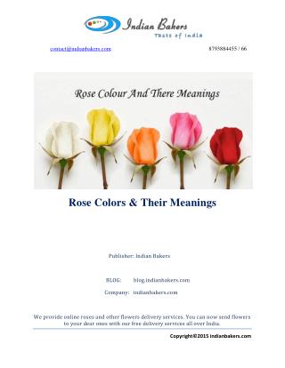Rose Colors & Their Meanings