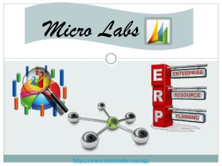 NAV ERP - Microlabs PVT LTD