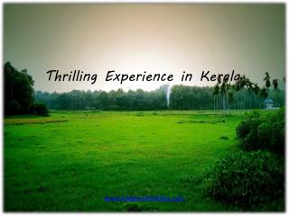 Thrilling Experience in Kerala