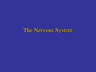 The Nervous System