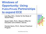 Windows of Opportunity: Using Public