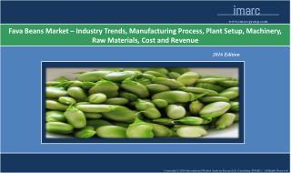 Fava Beans Market - Industry Analsyis, Trends and Forecast 2016 - 2021