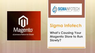 What’s Causing Your Magento Store to Run Slowly?