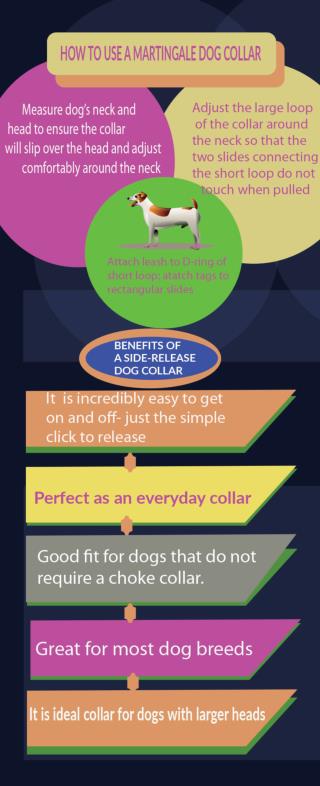 Benefits of a Martingale Collar