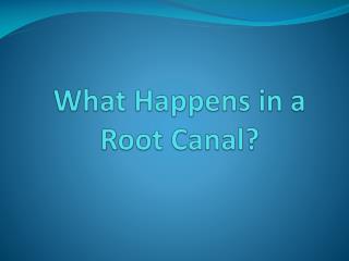 What Happens in a Root Canal?