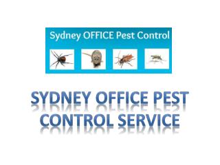 Sydney office pest control service
