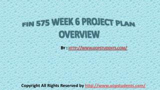 FIN 575 Week 6 Project Plan Overview