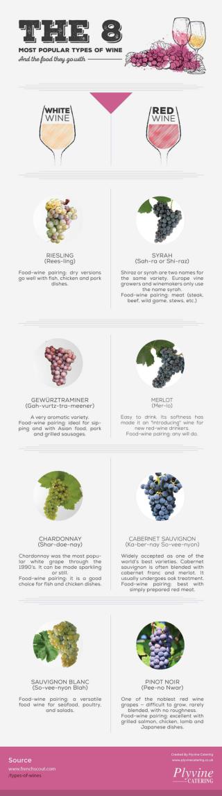 The 8 Most Popular Types of Wine & The Food They Go With