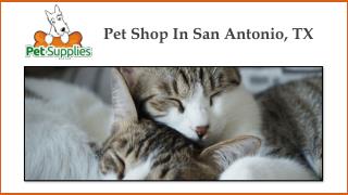 Pet Shop In San Antonio, TX