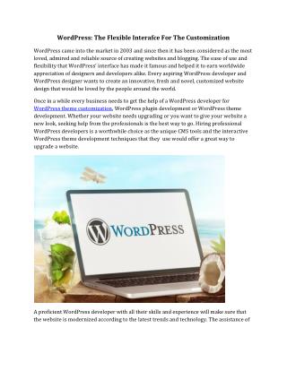 WordPress: The Flexible Interafce For The Customization