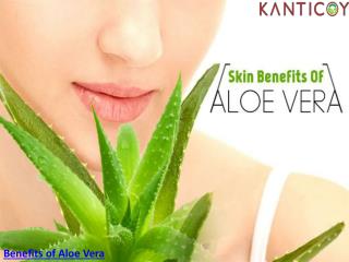 Benefits of Aloe Vera For Skin