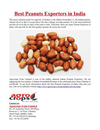 Best Peanuts Exporters in India