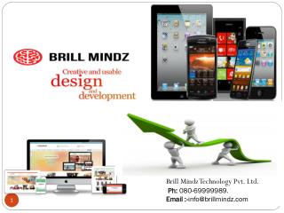 Brill mindz technology pvt Ltd.