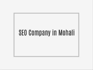 Website Designing Company in Mohali