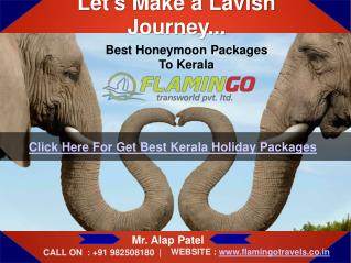 Lets Make a Lavish Journey to Kerala | Flamingo Travels