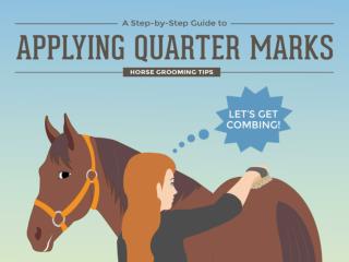 A Step by Step Guide to Applying Quarter Marks