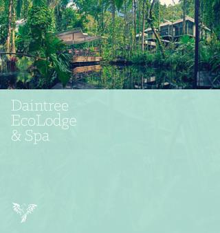 Daintree EcoLodge & Spa in North Queensland
