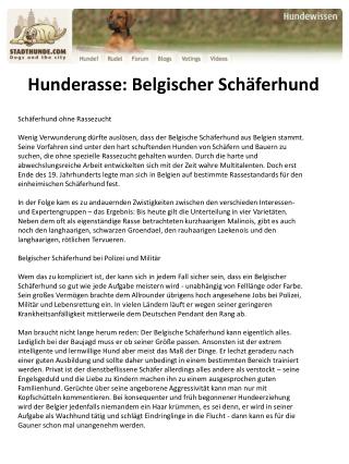 Hunderasse Belgischer Schäferhund