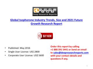 2016 World Isophorone Industry Investment Feasibility and Demand Analysis