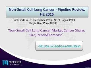 Key Factors Non-Small Cell Lung Cancer Market