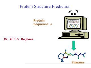 Protein Structure Prediction