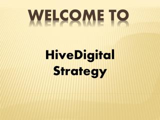 Digital Strategy Agency