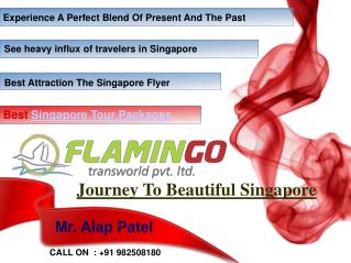 Best Places To Visit In During Singapore Tour