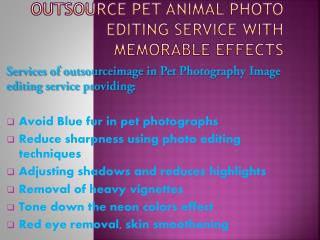 Outsource Pet Photoshop Image editing service for affordable price