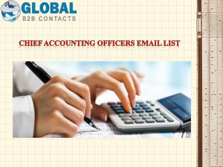 Chief Accounting Officers Email List