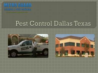 Pest Control Dallas Texas