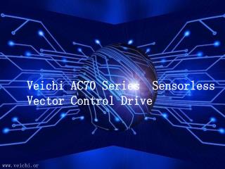 Sensorless Vector Control of Induction Motor
