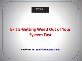 Exit 5-Getting Weed Out of Your System Fast