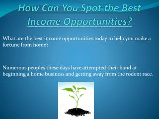 How Can You Spot the Best Income Opportunities?