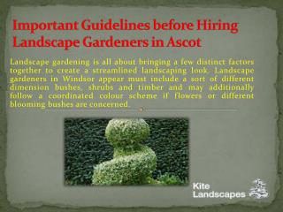 Important Guidelines before Hiring Landscape Gardeners in Ascot