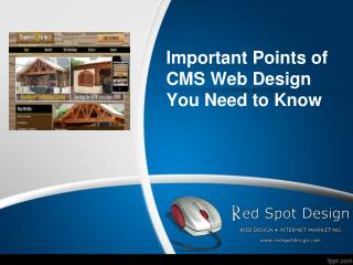 Important Points of CMS Web Design You Need to Know
