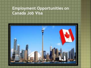 Employment Opportunities on Canada Job Visa