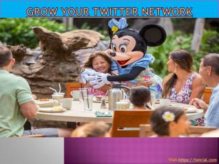 Grow your twitter network