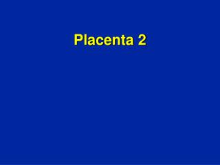 Placenta 2