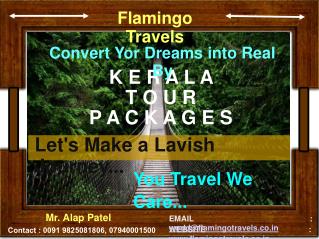 Convert Your Dreams Into Real By Visit Kerala Trip | Flamingo Travels