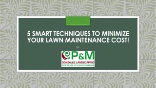 5 Smart Techniques to Minimize your Lawn Maintenance