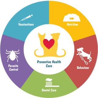 Vancouver Animal Hospital Components of Preventive Pet Healthcare