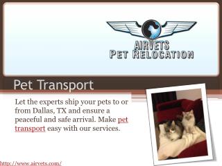 Pet Transport