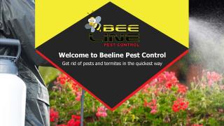 Beeline Pest Control