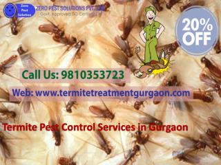 Get 20% Off On Termite Pest Control Services In Gurgaon